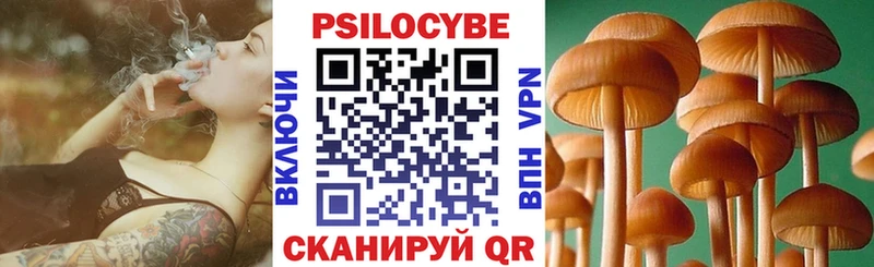 omg как зайти  Сланцы  Галлюциногенные грибы ЛСД 